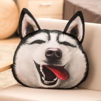 二哈3D抱枕被子哈士奇两用午睡枕头二合一空调被车用靠枕夏凉毯子 憨笑 40厘米(无内胆直接填充)