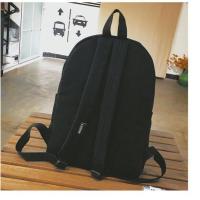 2021新款凹凸周边cos帕洛斯世界双肩包艾比背包二次元书包雷狮包 纯色 黑色带侧兜(送笔袋徽章)