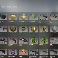 CSGO库存勋章黑号随机 2级非优先库存随机