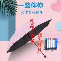 雨伞折叠全自动学生女韩版可爱小熊防晒遮阳伞水果晴雨两用太阳伞 印好广告成品雨伞