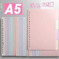 a4活页装订夹条20孔线圈环条装订圈扣环可拆卸塑料b5活页替芯夹环 A5[20孔] [分隔页/马卡龙色](软)12张