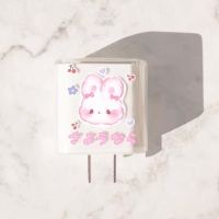 iphone12数据线保护套适用20w苹果11promax充电器头ipad2020缠绕 云朵兔透明套