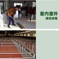 漂白消毒粉井水户外野外饮用水消毒净化地下水漂白粉池塘杀菌养殖