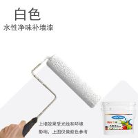 白墙去污油漆涂料家用翻新乳胶漆白色内墙室内自刷墙面漆防霉抗碱 白色 250g约刷1平方送工具