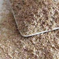 大麦虫活体黄粉面包虫金龙鱼八哥守宫画眉鸟虫子宠物饲料一斤 1斤麦麸