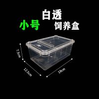 学生养蚕专用工具套装蚕宝宝饲养盒养蚕盒子容器蚕屋蚕别墅 小号白透饲养盒-T85