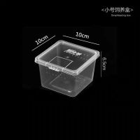 蚕宝宝专用饲养盒爬宠饲养箱养蚕用的盒子蚕活体高透养蚕饲养箱 中方盒10*10*6.5cm