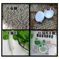 蚕宝宝学生养蚕套装新鲜桑叶爬行活蚕好养七彩天然彩蚕春蚕卵 100蚕卵套装 孵化盒羽毛手册