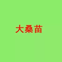 [现摘]桑叶新鲜 蚕桑 桑树叶 新鲜现摘 桑树苗 蚕宝宝饲料 大桑苗