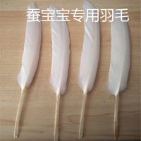 蚕宝宝清理网饲养工具结茧网过滤网羽毛抓蚕夹子饲养盒孵化盒蚕蔟 羽毛5根