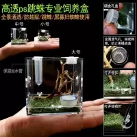 跳蛛饲养盒鸣虫箱大黄蜂活体佛罗里达蝈蝈笼蛐蛐跳蛛昆虫罐带加湿 饲养盒观赏灯
