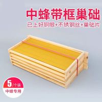 带框巢础成品巢框中蜂意蜂杉木巢基巢脾蜜蜂巢框养蜂工具蜂箱 中蜂成品[5个送王笼防跑片]