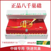 八千巢础中蜂巢础片蜜蜂蜡深房巢脾厂家意蜂巢础蜂箱养蜂工具 03蜂蜡中蜂巢础