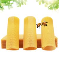 蜂巢中蜂巢础巢框巢基巢脾蜜蜂蜂箱全套养蜂工具蜂蜡欣鼎蜂业 中蜂巢础