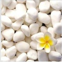 厂家直销 透明圆缸生态圆形玻璃金鱼缸大号乌龟缸水培缸古缸系列 白石500g装 默认