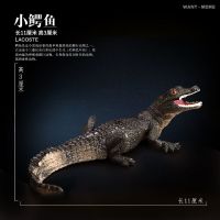 鳄鱼模型仿真动物儿童节礼物玩具野生动物尼罗扬子鳄 野猪鳄玩具 小鳄鱼.