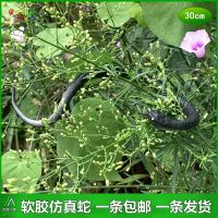 软胶仿真蛇大号眼镜蛇加长蟒蛇儿童玩具小蛇整人吓人假蛇动物模型 30cm软胶小蛇