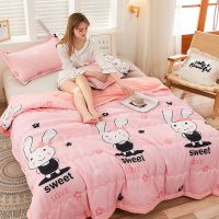 夏季空调被夏凉被双人 单人夏天薄被子可机洗学生宿舍成人儿童 可爱兔子 80x100cm[午休被]