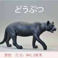 儿童仿真实心野生动物模型玩具狮子老虎河马犀牛大象长颈鹿套装 实心黑豹