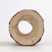 天然仓鼠树洞桦木小动物躲避木屋宠物房子松鼠窝窝磨牙啃咬玩具 树洞高10cm