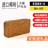 无菌椰粉椰砖营养土椰土兰花土无土栽培[宠物垫材]种菜多肉土椰糠 1块椰砖650g