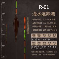 特价阿卢芦苇纳米浮漂螺旋醒目尾鲫鱼漂防风防走水加粗野钓 R-01号1支(吃铅1.2)