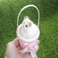 仿真猫咪会叫吊篮动物兔子狗模型玩偶儿童玩具情人节生日礼物 小竹圆提篮黄头站立猫 不会叫