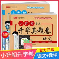 小升初复习资料2021六年级下小升初毕业总复习必刷题真题模拟试卷 小升初毕业真题卷 语文