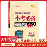 小升初复习资料小考必备考前冲刺46天语文数学英语通用版必刷题 小考必备考前冲刺46天 英语