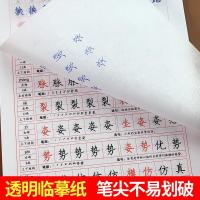 三年级下册字帖人教版小学生写字课课练课本同步训练小学语文生字 三年级下册 字帖上下册(2本)