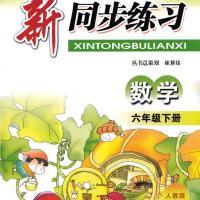 2021版 教学练 新同步练习六年级数学下册人教版 基础训练题