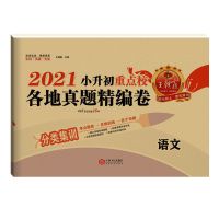 2021王朝霞小升初试卷各地真题精编试卷语文数学英语招生分班必备 各地真题精编卷(分类集训) 语文