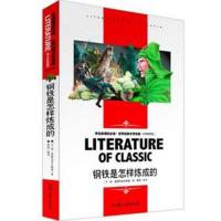 傅雷家书钢铁是怎样炼成的译林出版社版本大全正版任意搭初中必读 钢铁名师导读版汕头大学出版社