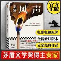 风声人生海海麦家茅奖追风筝的人偷影子全新修订囊皮风声多规格 风声【1册】平装