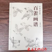 百雀画谱 王满良绘工笔白描麻雀图集临摹范本雀鸟画谱中国画线描