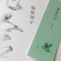 骆驼祥子(中小学课外阅读书,老舍先生的代表作之一)当当