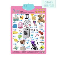 儿童汉语拼音有声挂图声母韵母整体认读音节表全套一年级启蒙发声 日常用品