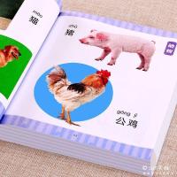 儿童认物大全认识日常生活用品水果动物形状颜色看图识物启蒙认知 认物大全230页...