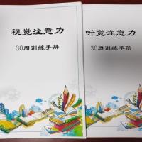 小袋鼠注意力专注力视觉听觉训练方案手册感统训练4-6-8-10岁 4-6视觉