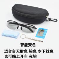 射鱼眼镜湖泊水下找鱼垂钓专用眼镜开车高清钓鱼变色偏光太阳墨镜 智能变色偏光高清眼镜