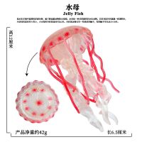 水母玩具仿真海底浮游海洋生物儿童科教认知礼物动物鱼缸摆件 1660红色水母