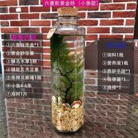 观赏鱼生态瓶微景观免换水diy水族箱办公桌面创意造景斗鱼玻璃缸 六菱形黄金沙款 (小鱼)