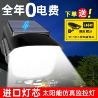 太阳能庭院灯家用仿真监控摄像头户外院子人体感应充电路灯大功率 全年0电费+十年质保+吓贼防盗 三十W微亮款[无感应]送警