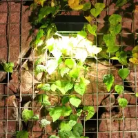 太阳能院灯庭院照明壁灯家用户外防水阳台装饰花园高亮墙壁投光灯 12LED方形壁灯(黑壳白光)