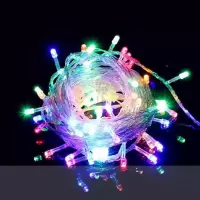 LED彩灯闪灯串灯满天星灯户外婚庆节日装饰灯房间卧室拍照小彩灯 彩色 10米100灯(插电款)