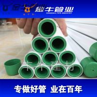 武汉金牛管业双层抗菌ppr冷热水管202532绿色热熔沃盾家装瓷芯管 20*2.8双色（3米/条）