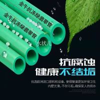 ppr上海金牛20热水管25双色家装水管绿翡翠瓷芯抗菌纳米水管配件 20*2.8绿翡翠热水管(3米)