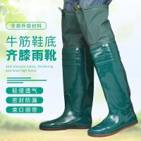 60厘米农田男高筒下水鞋软底插秧靴女过膝雨鞋大码捕鱼胶鞋防水鞋 60cm绿色a 35