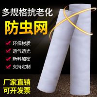 新款蔬菜防虫网大棚农用尼龙网加厚加密果园果树网罩防鸟网防老化 60目普通1X10米