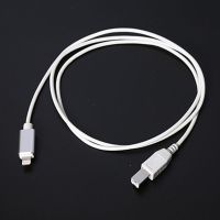 电钢琴平板手机OTG连接线 适用于iPhone iPad连接雅马哈珠江钢琴 [白色]支持iOS10.3以上 1m